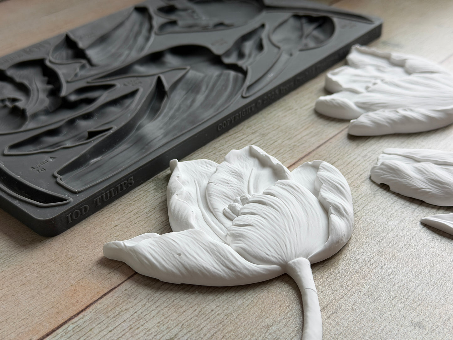 Tulips 6x10 IOD Mould™